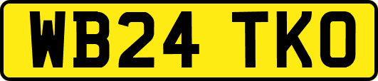 WB24TKO