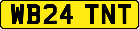 WB24TNT