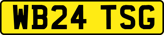 WB24TSG
