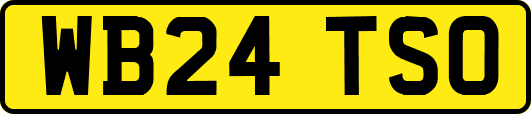 WB24TSO