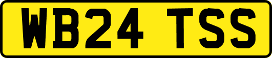 WB24TSS