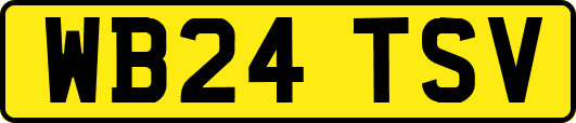 WB24TSV