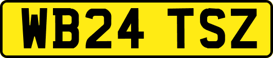 WB24TSZ