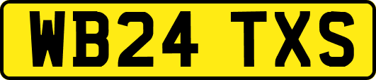 WB24TXS