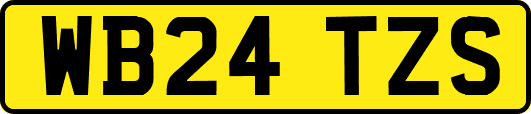 WB24TZS