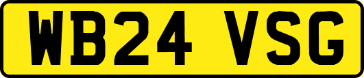 WB24VSG