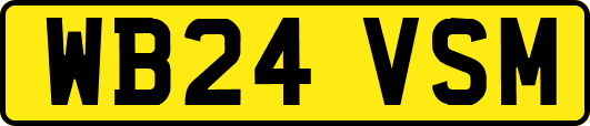 WB24VSM