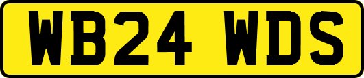 WB24WDS