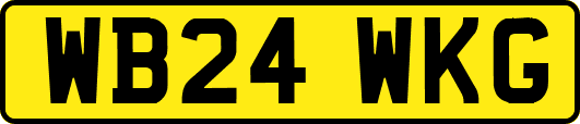 WB24WKG