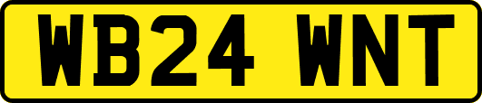 WB24WNT