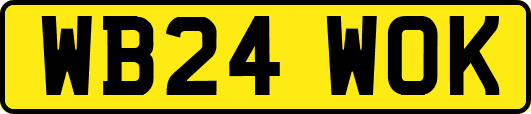 WB24WOK