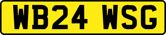 WB24WSG