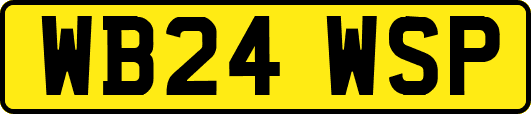 WB24WSP