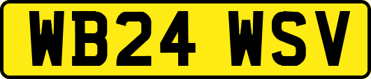 WB24WSV
