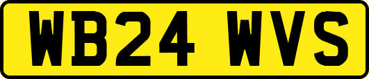 WB24WVS