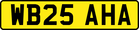 WB25AHA