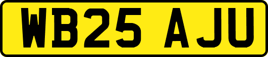 WB25AJU