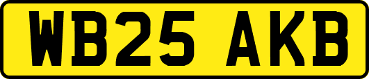 WB25AKB