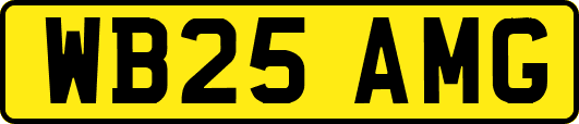 WB25AMG