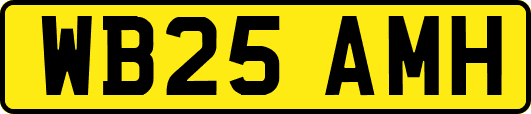 WB25AMH