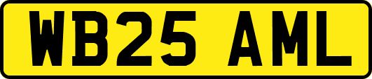 WB25AML