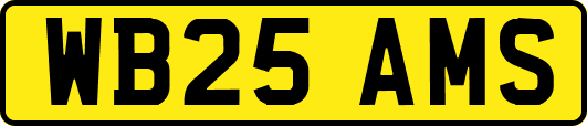 WB25AMS