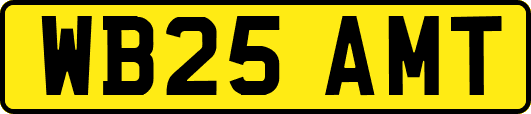 WB25AMT