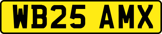 WB25AMX