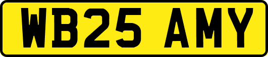 WB25AMY