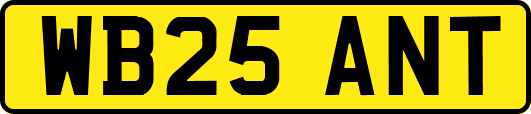 WB25ANT