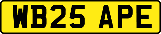 WB25APE