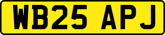 WB25APJ