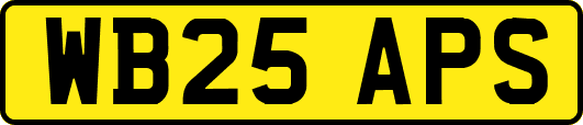 WB25APS