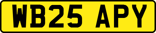 WB25APY
