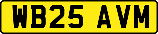 WB25AVM