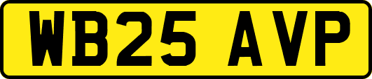 WB25AVP