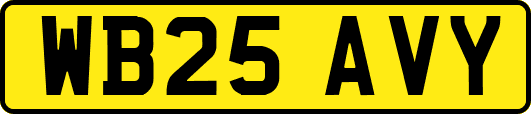 WB25AVY