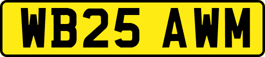 WB25AWM