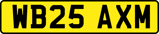 WB25AXM