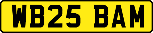 WB25BAM