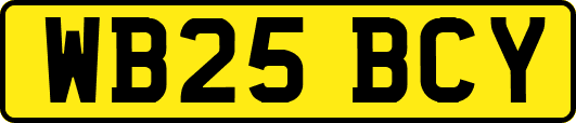 WB25BCY