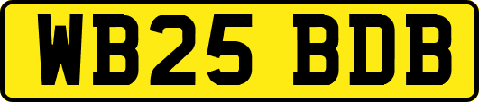 WB25BDB