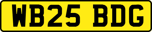 WB25BDG