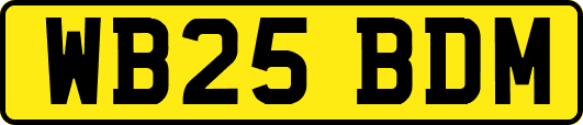 WB25BDM