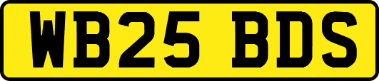 WB25BDS