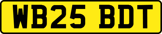 WB25BDT