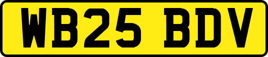 WB25BDV