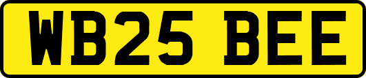 WB25BEE