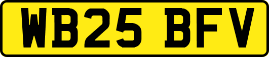 WB25BFV