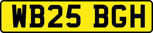 WB25BGH